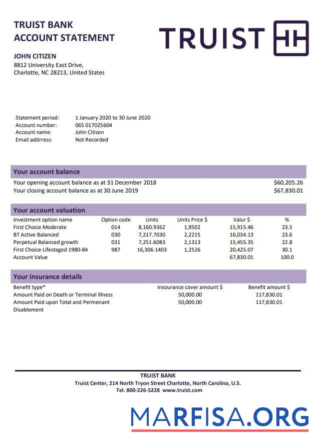 Blank USA Truist bank statement word.1 real example